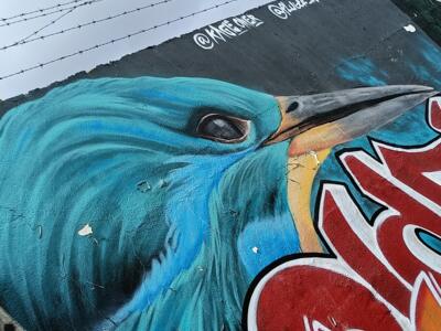 Martin-pêcheur turquoise par Harte One — Street art de Harte One à Almada