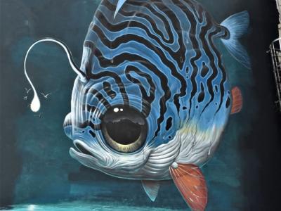 La lumière au bout du tunnel — Street art de Veks Van Hillik à Fort-de-France