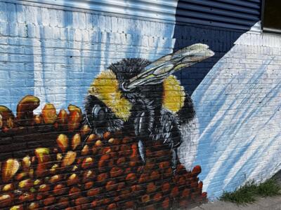 The Bumblebee and the Flowers of Witte Dorp — Street art by Marloes de Kiewit in Rotterdam