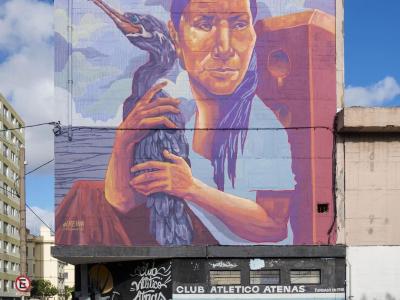 Les oiseaux de la Rambla — Street art de ElReina à Montevideo