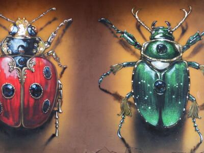 Jewel Beetles — Street art by Häcko Crâne in La Bañeza