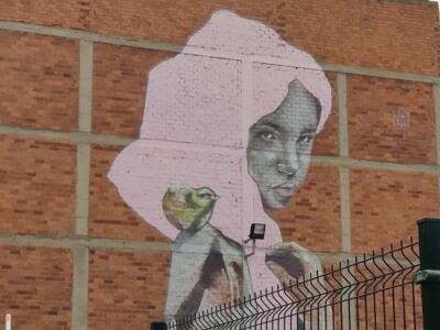 Pink Hair — Street art de NaF à La Bañeza