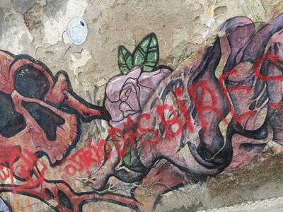 Anatomie charnelle et rose recouverte de tags — Street art à Almada