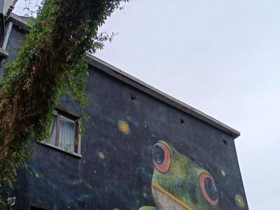 Zouwi's Frog on Rue d'Ophem — Street art by Zouwi in Bruxelles