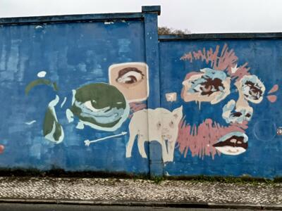 Collage of eyes and a white pig — Street art in Lisboa
