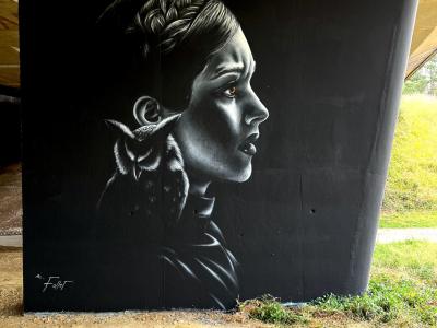 Athéna, la femme au hibou — Street art de Mélissa Follet à Rennes