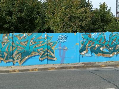 Two Turquoise and Gold Pieces by Shore — Street art in Reims
