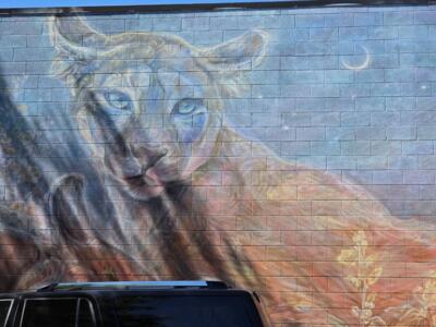 Safe Place — Street art by Emily Ding in Salt Lake City