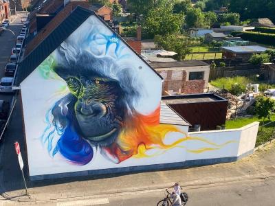 Watch Your Silverback — Street art by SMOK in Dendermonde