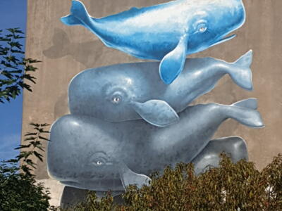 Tide — Street art de Nevercrew à Bayonne