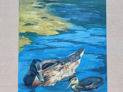 Duck and Duckling on the River — Street art by Megan Oldhues in Valence