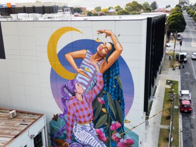 Two Women and Gum Blossoms — Street art by Lucy Lucy in Melbourne