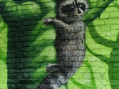 Raccoon climbing the wall — Street art by Colorrevolution e.V. in Köln