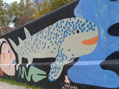 Whale shark in flat colour — Street art by Mariana Rio in Lisboa