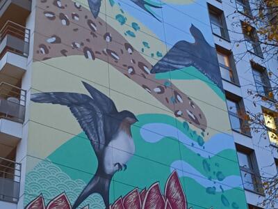 Up!, les hirondelles de Jana Danilović — Street art de Jana Danilović à Bruxelles