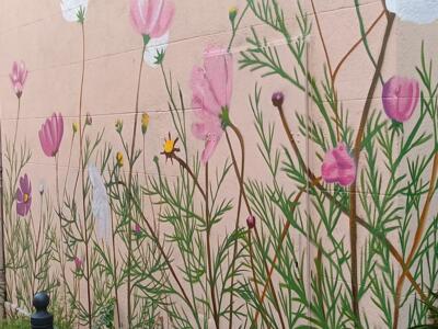 Bed of Cosmos on a Pink Wall — Street art in Marseille