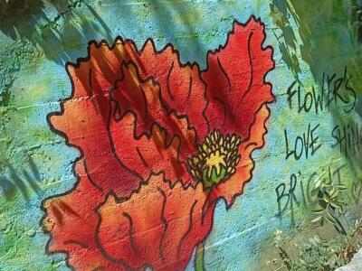 Red poppy on a turquoise wall — Street art in Le Mans