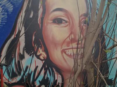 Portrait souriant derrière les branches — Street art à Lisboa