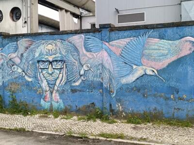 Homme à lunettes et vol d'oiseaux roses — Street art à Lisboa