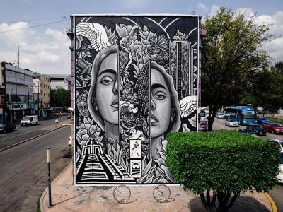 Inhabiting the Soul — Street art by Paola Delfín in Mexico City