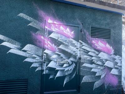 A fleur de mur — Street art de CRBZ à La Giettaz