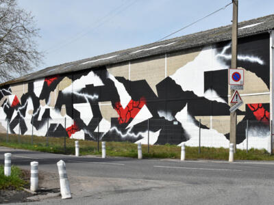 Éclats noirs et blancs d'Eliote — Street art de Eliote à Mondeville