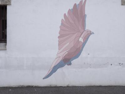 Los Paseos #5 — Street art de Taquen à Saint-Palais