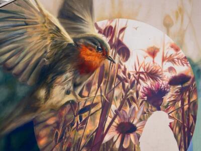 Focusing, the Robin of Maxstrasse — Street art by Jack Lack in Bonn