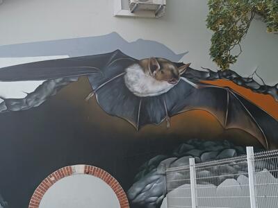 Trompe-l'oeil Bat by Disk — Street art by Disk in Bourges
