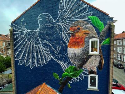 The Robin of Roodborststraat — Street art by Marloes de Kiewit in Rotterdam