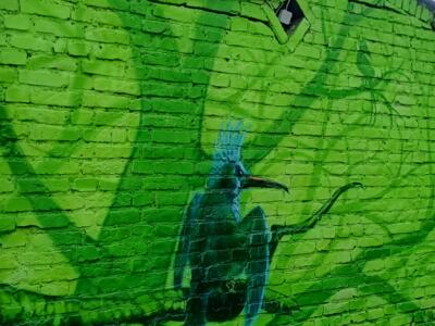 Kingfisher on a green wall — Street art by Colorrevolution e.V. in Köln