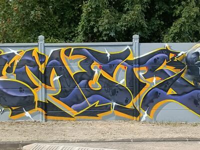 Lettrage bleu nuit et crâne doré par iMer — Street art à Reims