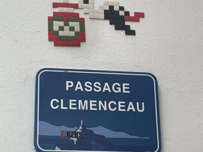 The stork of passage Clemenceau, by Stork — Street art by Stork Pixelart in Biarritz