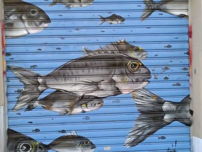 Banc de daurades sur rideau bleu — Street art à Marseille