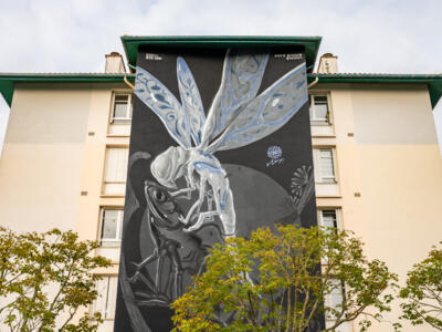 Nut's giant insects — Street art by Nut in Bayonne