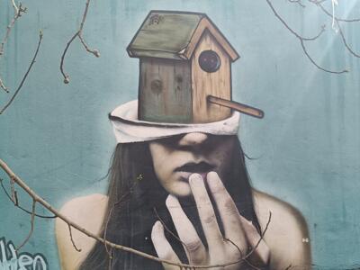 Femme au nichoir sur la tête — Street art à Lisboa