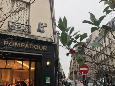PA_1436, Space Invader on Rue Decamps — Street art by Invader in Paris