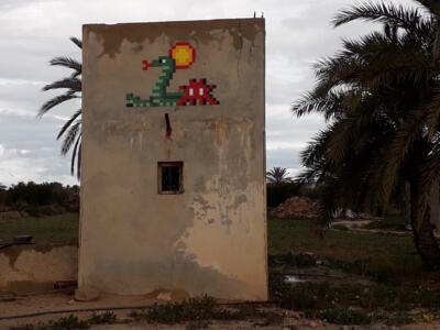 DJBA_50, Space Invader on El Groa - Oued Zebib - Esrandi — Street art by Invader in Ajim