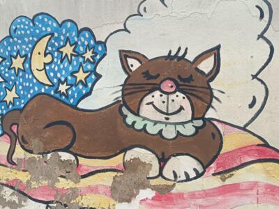 Chat endormi sur son coussin — Street art à Düsseldorf