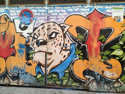 Tête de léopard et lettrage orange — Street art à Marseille