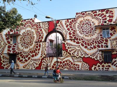 Red Lace and Rangoli — Street art by NeSpoon in Delhi