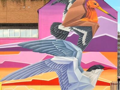 Envol — Street art de Annatomix à Belfast