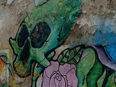 Green Skull and Mauve Rose — Street art in Almada