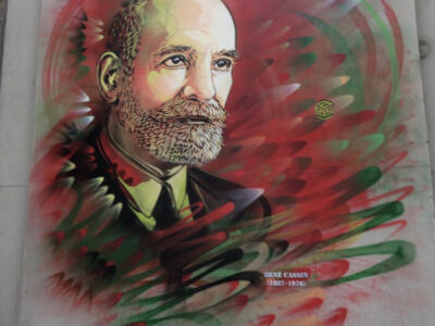 René Cassin (1887-1976) — Street art by C215 in Bayonne