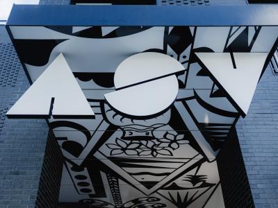 L'esprit d'Assembly — Street art de Ola Volo à Vancouver
