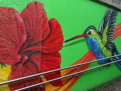 Hummingbird and red hibiscus — Street art by NEANDERARTgroup in Erkrath