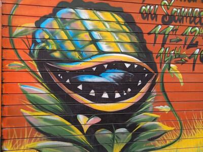 Plante carnivore du grow shop — Street art à Marseille
