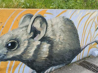 Souris grise dans les herbes — Street art à Almada