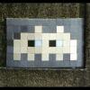 PA_408, Space Invader on Avenue des Ailantes — Street art by Invader in Paris