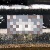 VRS_29, Space Invader de la terrasse — Street art de Invader à Versailles